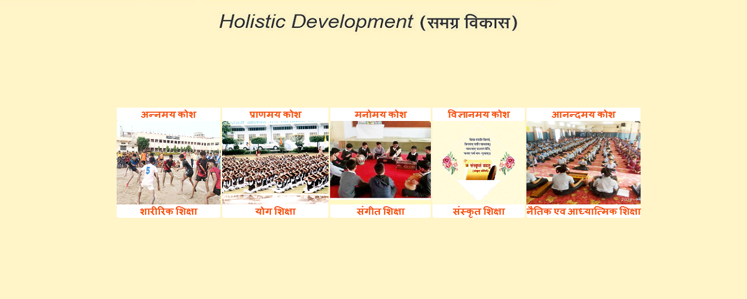 समग्र विकास